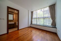 Holland Link (D10), Terrace #503034911